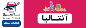 آژانس مسافرتی سلام پرواز ایرانیان