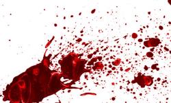 گفت‌وگو با قاتل همسرکش در جنوب تهران/جنایت به‌خاطر گوشی قسطی