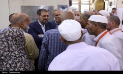 70درصد حجاج ایرانی پس از زیارت کربلای معلی به کشور بازگشتند